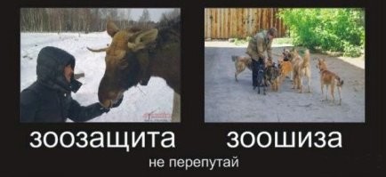 "Защитники" животных не позволят