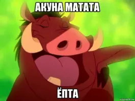 В США кабан украл еду, оставленную курьером под дверью