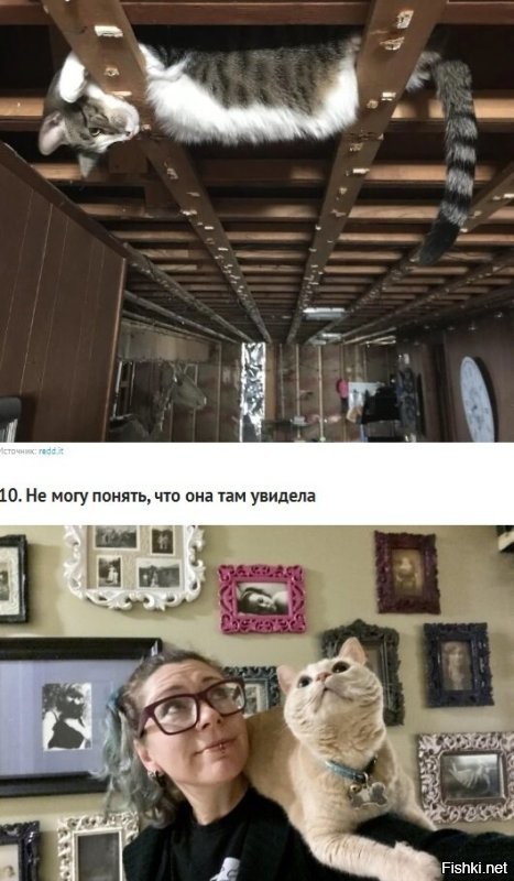 Ну в данном случае всё очень понятно