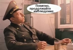 Реакция гусей на метеор