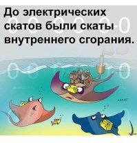 Электрический угорь: в 19 веке лошадей использовали для опытов с ними
