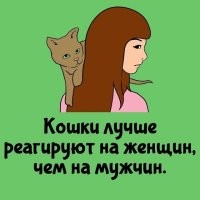 А коты лучше реагируют на мужчин, чем на женщин. Ваш Кэп.