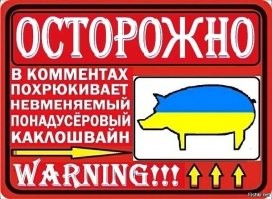 О политике и не только