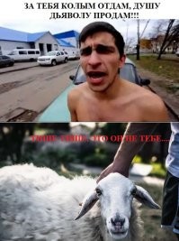 Иностранца, оскорбившего чемпионку UFC в Челябинске, депортировали из России