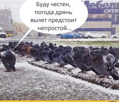 Движение антиптицеров "Птиц не существует"