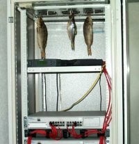 30 ночных кошмаров технических специалистов