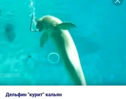 Скрины из соцсетей&nbsp;&nbsp;&nbsp;&nbsp;&nbsp;&nbsp;&nbsp;&nbsp;&nbsp;&nbsp;&nbsp;&nbsp;