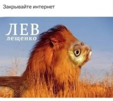 Не ищите здесь смысл. Здесь в основном маразм
