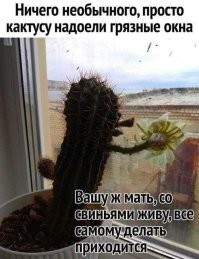 Не ищите здесь смысл. Здесь в основном маразм