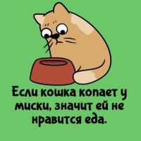 Только первые два дня.