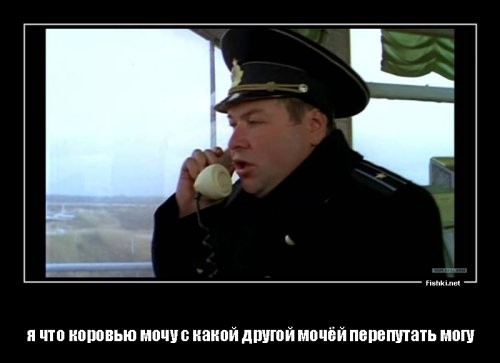 Ватусси: зачем у этих африканских коров такие огромные рога?
