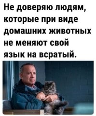 Первые прогулки манулят