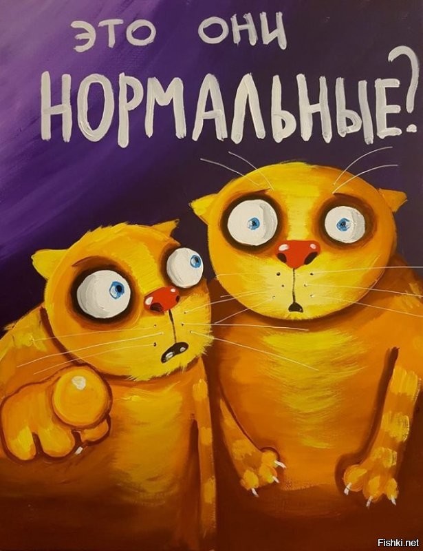 Кот пропал на 9 лет: хозяйка до сих пор смеётся над тем, где его нашли