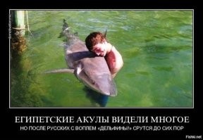 Я по этому-то и написал про него, а то могут найтись умники- в стиле "ух ты! Дельфинчик!" И полезть с ними общаться.
Хотя на снимке скорее всего не они.