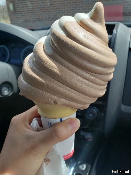 Это точно мороженое?