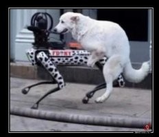 К чему их только не пытаются пристроить...