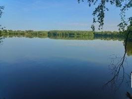 Сегодня, в восемь утра