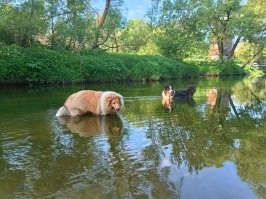 Сегодня, в восемь утра