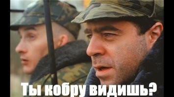 Зашли и онемели: туристки показали, что их ждало в номере отеля посреди джунглей