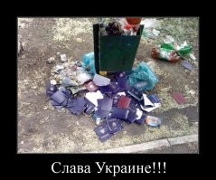 это паспорта.