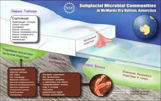 Держи. Не знаю зачем - потратил 15 минут вместо Мира кораблей. С кого-то из вас стакан