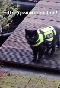 Речной полицейский, с которым всегда можно договориться