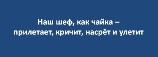 Скрины из соцсетей&nbsp;&nbsp;&nbsp;&nbsp;&nbsp;&nbsp;&nbsp;&nbsp;&nbsp;&nbsp;&nbsp;&nbsp;