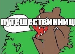 Зашли и онемели: туристки показали, что их ждало в номере отеля посреди джунглей