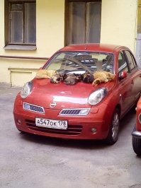 Скрины из соцсетей&nbsp;&nbsp;&nbsp;&nbsp;&nbsp;&nbsp;&nbsp;&nbsp;&nbsp;&nbsp;&nbsp;&nbsp;