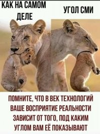 Появились подробности задержания женщины с пустой коляской в Уфе