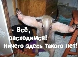 Как мощно прокачать предплечья