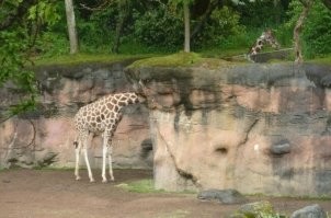 17 фотографий из серии «показалось»