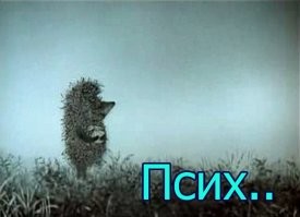 Просто гифки, всякие и&nbsp;разные