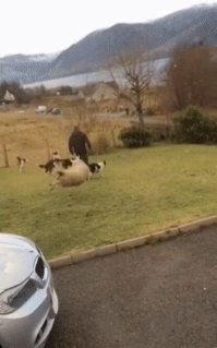 Просто гифки, всякие и&nbsp;разные