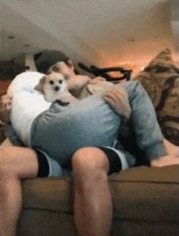 А кошку с мышкой почему-то не позвали..