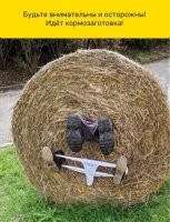 Ну женские трусы понятно... В юбке была. Где мужика штаны??