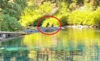 Хороша природа-матушка, не всё ещё засрали! Но пытаются.