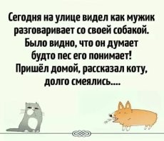 Да и совета  порой не мешает спросить...
Котик плохого не посоветует.