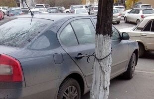 Тут главное самому не забыть..