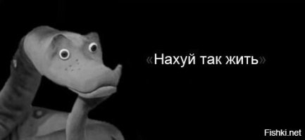 Жених только после свадьбы узнал, что женился на мужчине