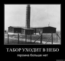 Изнасиловавшего цыганскую девочку в Испании признали невиновным из-за особенностей национальной культуры