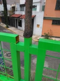 Я не сварщик, но думаю мои сварочные швы получатся лучше.