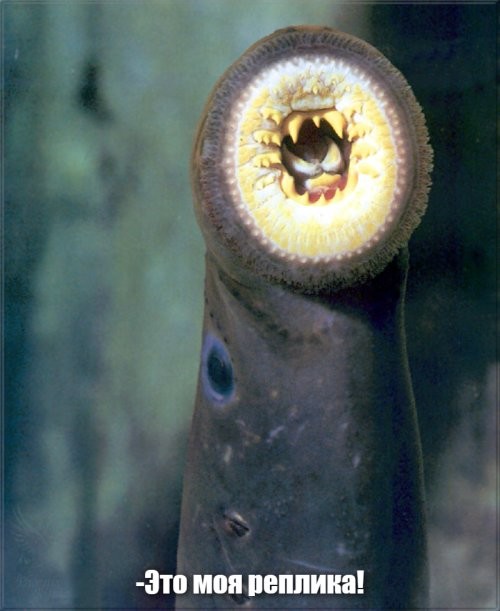 Загадочное существо, которое нашли учёные в пещере на глубине 1,5 км