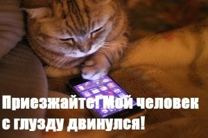 А потом кот вызвал санитаров... )