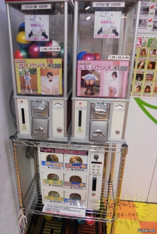 В 90-х в Японии были популярны автоматы по продаже ношеных женских трусов