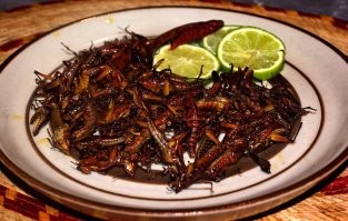а в Мексике едят жаренных кузнечиков и муравьиные яйца. Ну, про мескаль с гусеницами все знают) И все это вполне себе вкусно)