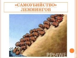 Странные румыны. Они во время лесного пожара за грибами случаем не  ходят?  Или во время грозы на деревья повыше не забираются? Может  это какой-то вид экстремального отдыха, типо зацеперов на электричках?