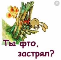 В Уфе любопытного кота спасли из вентиляции