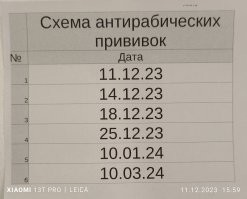 В Таиланде обезьяны атаковали туристов на пляже