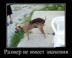 Маленький комок ненависти